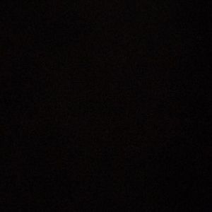 Meet your Posher, Reagan